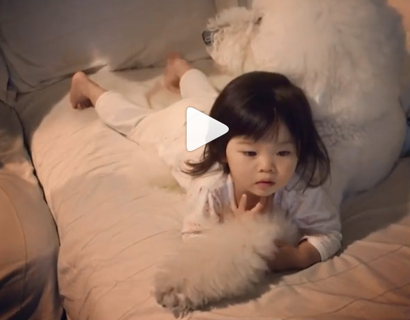 VIDEO. Dit meisje heeft een poedel als beste vriend