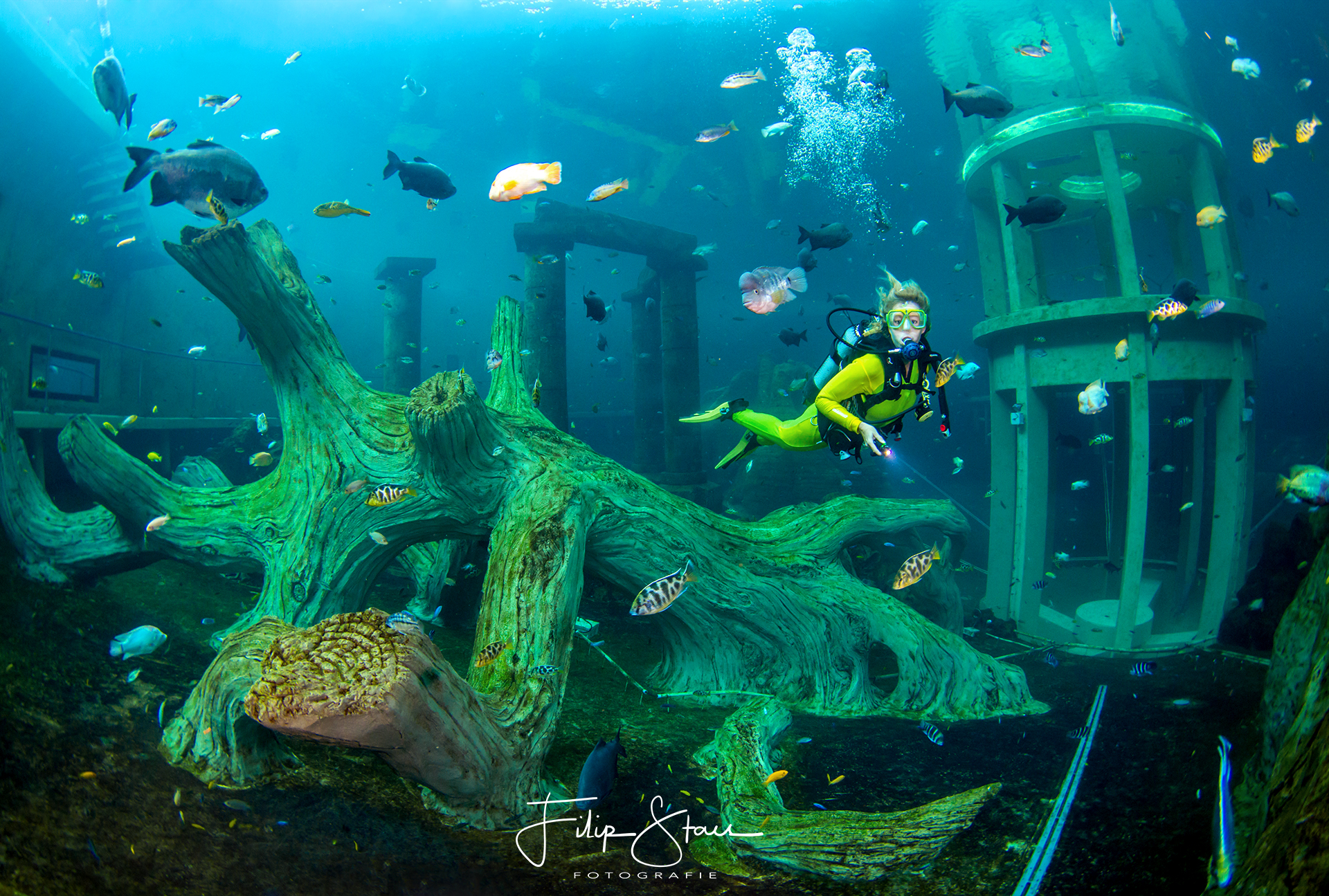 “Een exotisch duikparadijs in de mijnen van Limburg? Ze verklaarden mij zot”