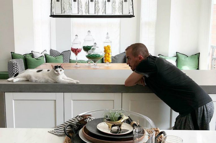 Kat vernielt huis van ‘Malcolm in The Middle’-ster