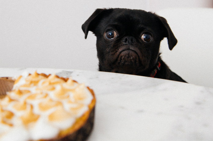 Zo weet je of je écht honger hebt