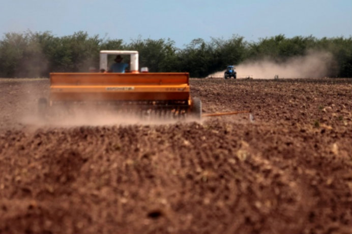 “Pesticiden zijn eerder regel dan uitzondering in Europa”