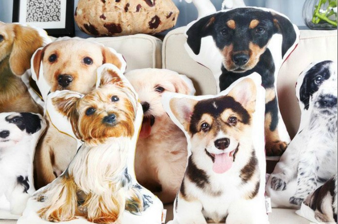 Bizar. Verander je huisdier in een kussen