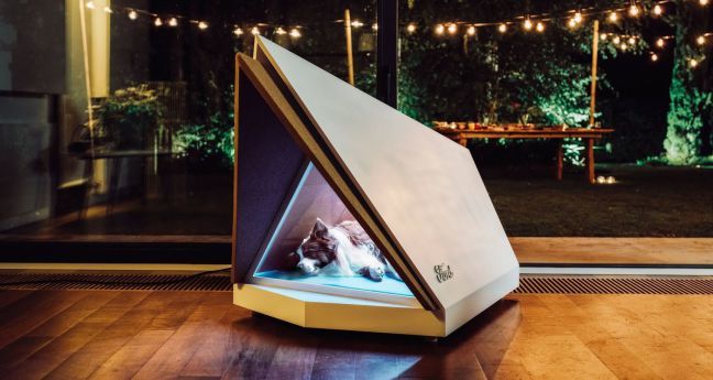 Geluidsdichte tent voor honden met vuurwerkangst