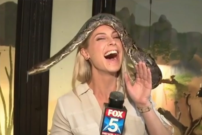 Lachen met de strafste fails van de week en de beste nieuwsbloopers van het jaar (video’s)