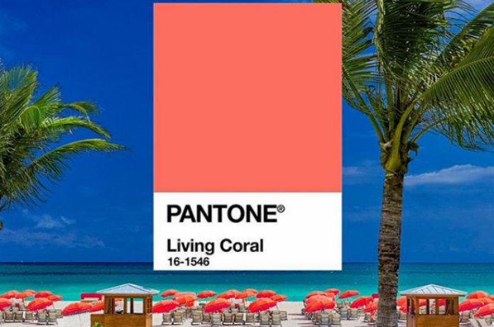 Dit wordt dé kleur van 2019