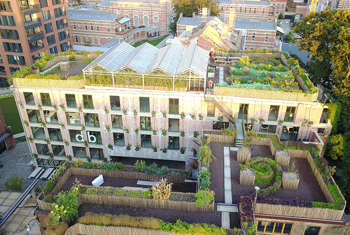 Vijf atypische werkruimtes in atypisch Antwerpen