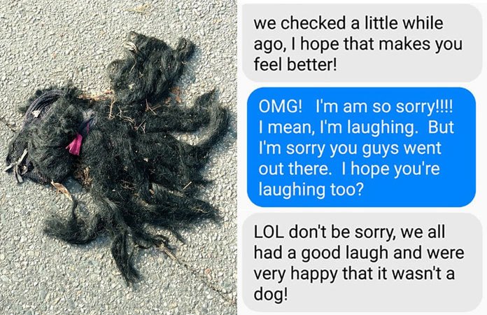 ‘Platgereden hondje’ blijkt grappig genoeg iets anders te zijn