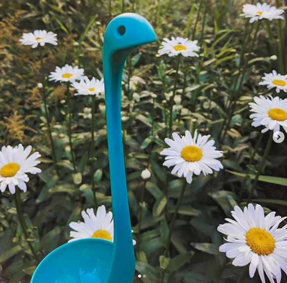 IN BEELD. Soeplepel heeft bijna 100.000 volgers op Instagram