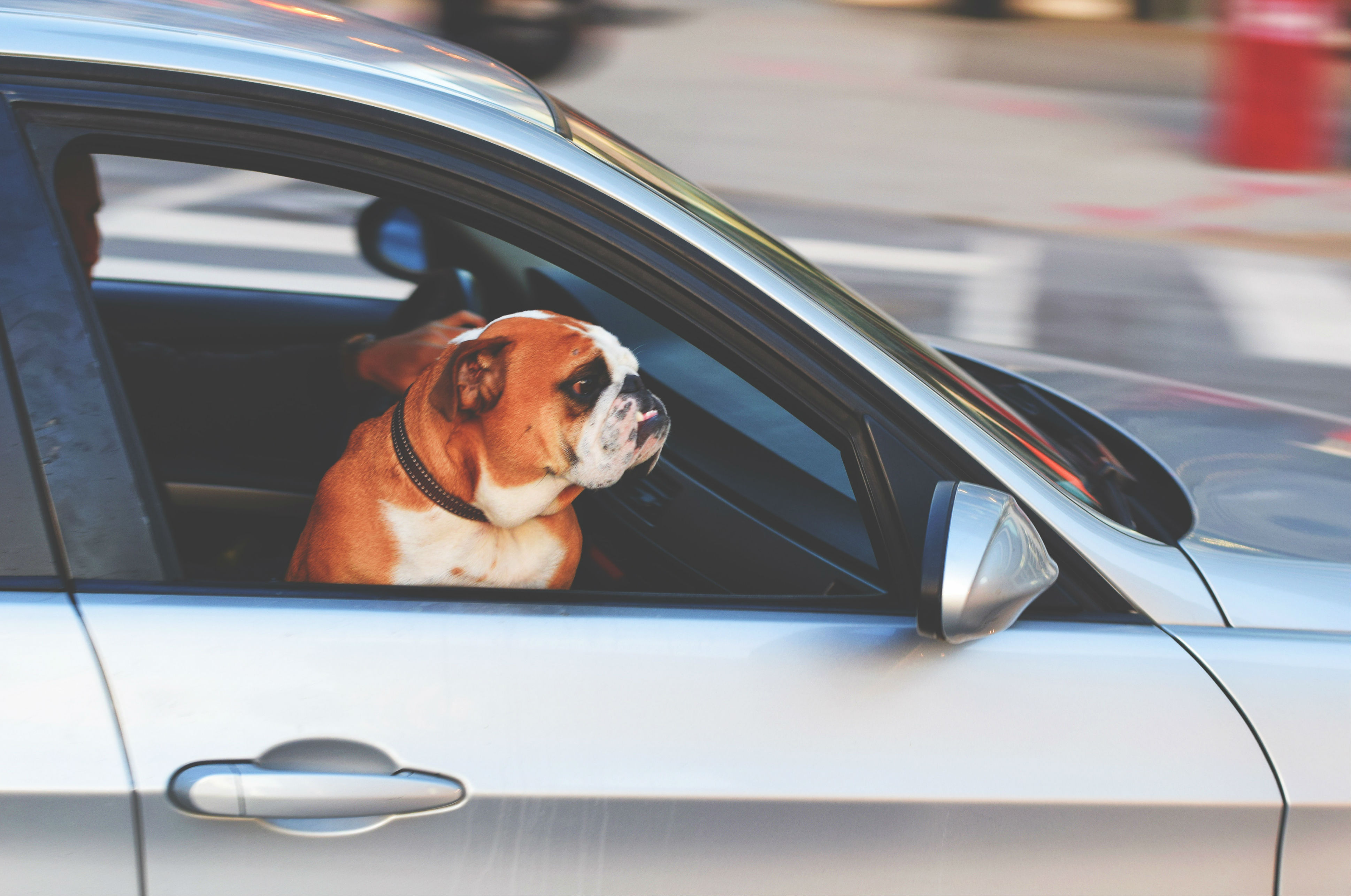 Tesla komt met ‘hondenmodus’ in nieuwe M3