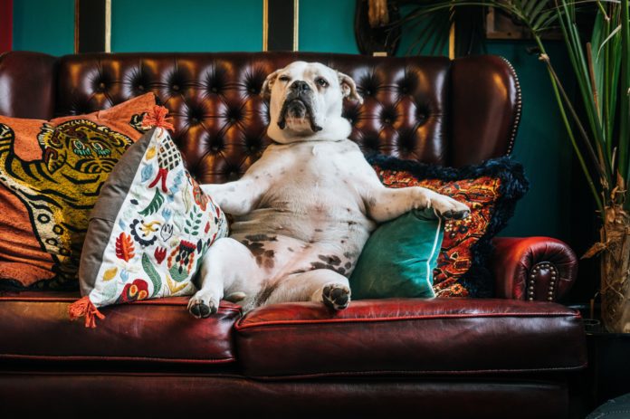 5 voordelen van alleen wonen