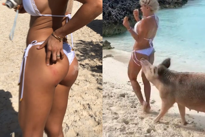 Bikinimodel wordt stevig in de billen gebeten door… wild zwijn (video/foto’s)