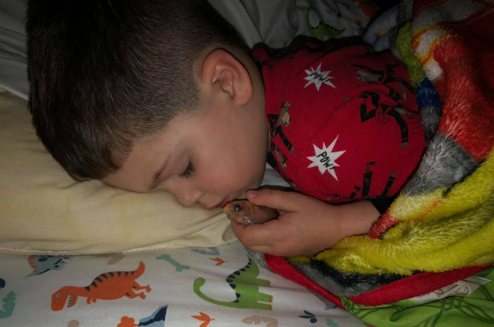 Kleuter doodt per ongeluk goudvis door knuffel