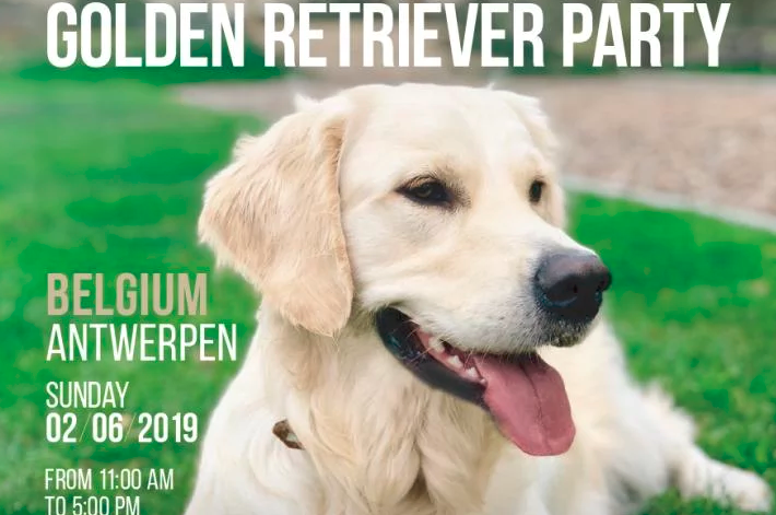 Eerste Belgian Golden Retriever Party strijkt neer in Antwerpen