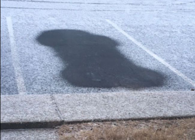 Vrouw krijgt boete omdat haar auto een penis achterlaat