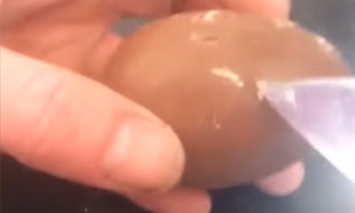 Moeder doet DEZE gore ontdekking in paaseitje (video)