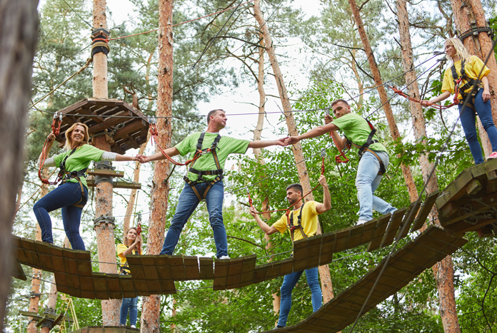 In team: Sport Vlaanderen