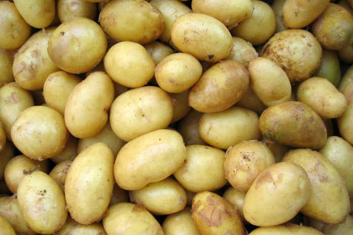 Waarom de zoete aardappel beter is dan de gewone aardappel