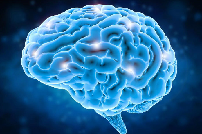 Dit gebeurt er allemaal in je hersenen net voor je sterft