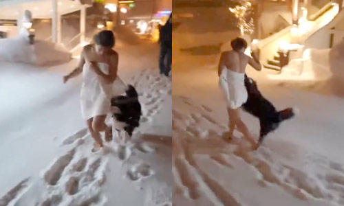 Speelse hond zet dame bijna in haar blootje (video)