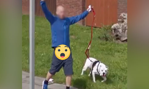 WOOPS: Google Maps verborg wél zijn gezicht, maar niet zijn penis (NSFW-video)