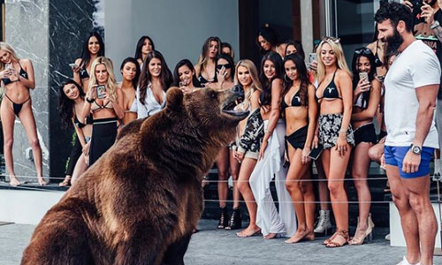 “Koning van Instagram” onder vuur wegens DIT filmpje met beer (video)