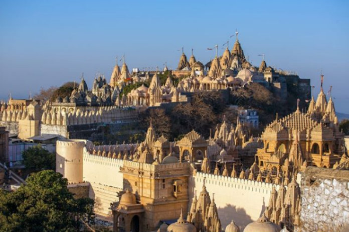 Dit is de eerste vegetarische stad ter wereld