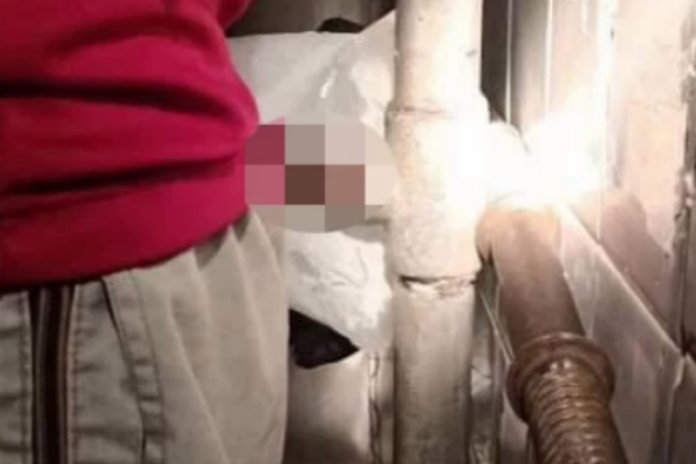 Bronstige tiener komt met penis in regenpijp vast te zitten