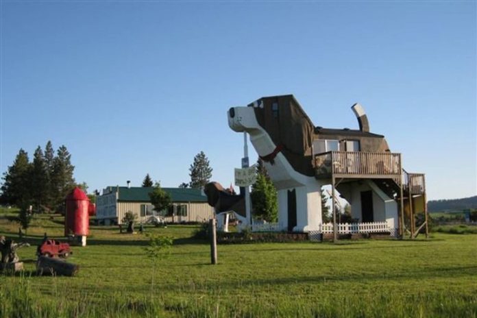 Woef. Deze Airbnb heeft de vorm van een hond