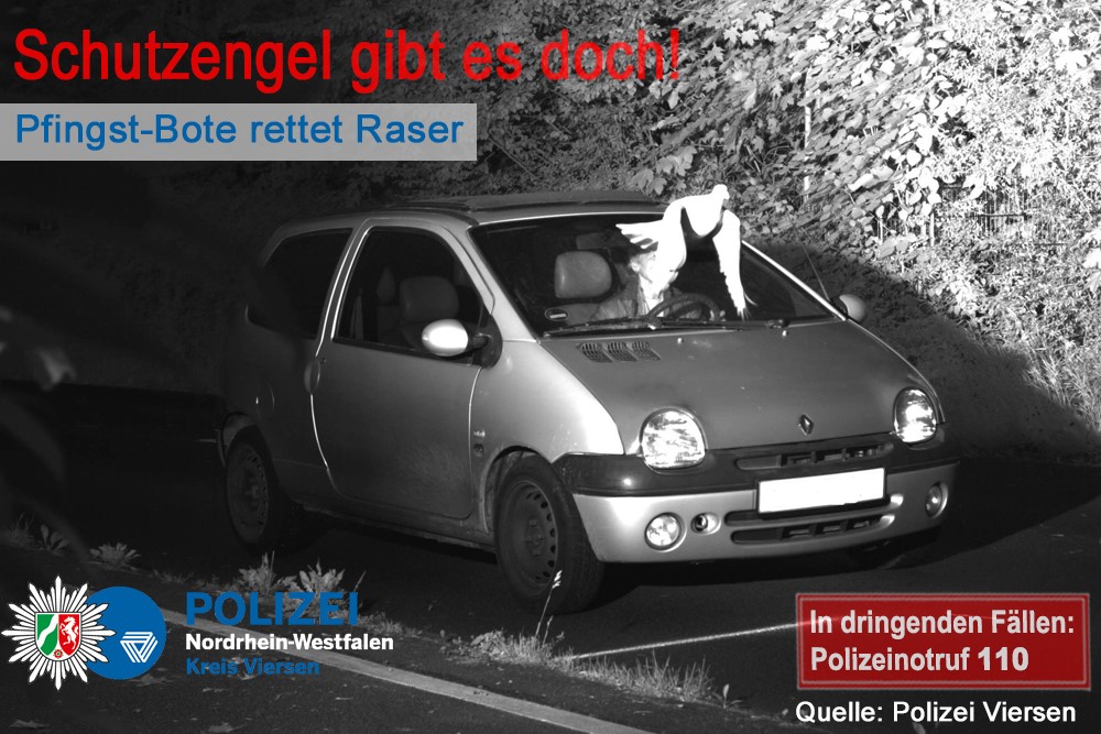 BIZAR. Duif voorkomt boete van snelheidsduivel