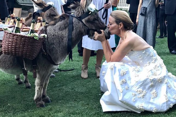 Dit bedrijf verhuurt mini-ezels die drankjes uitdelen op feestjes