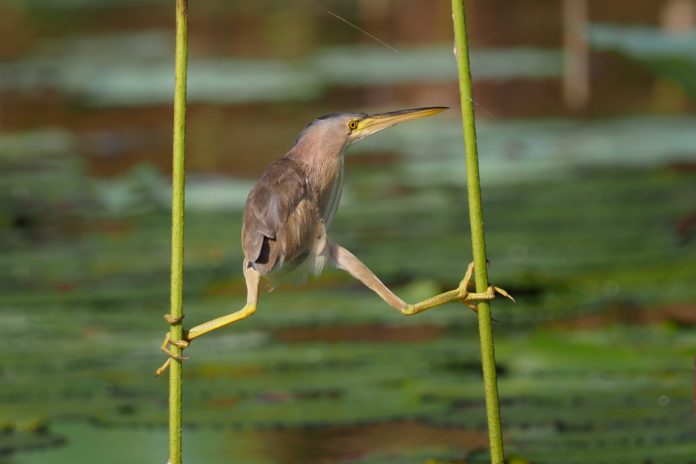 Zeven tips om je leven in balans te brengen en houden
