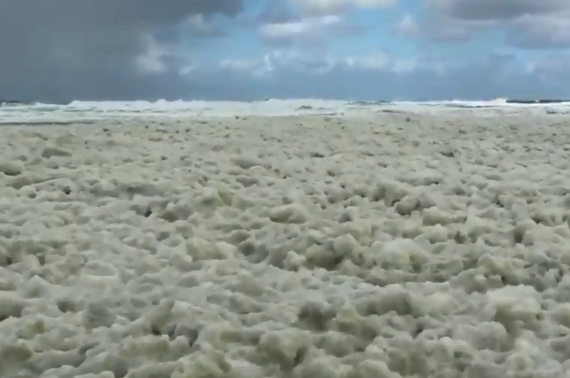 VIDEO. Bijzondere “schuimparty” op strand Wenduine