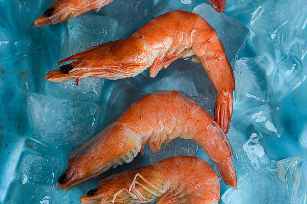 Wetenschappers vinden cocaïne in Britse zoetwatergarnalen