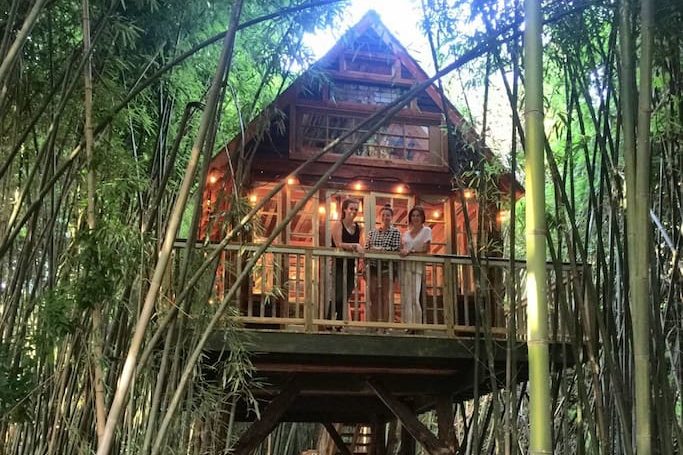 Hier kan je slapen in een boomhut omringd door alpaca’s