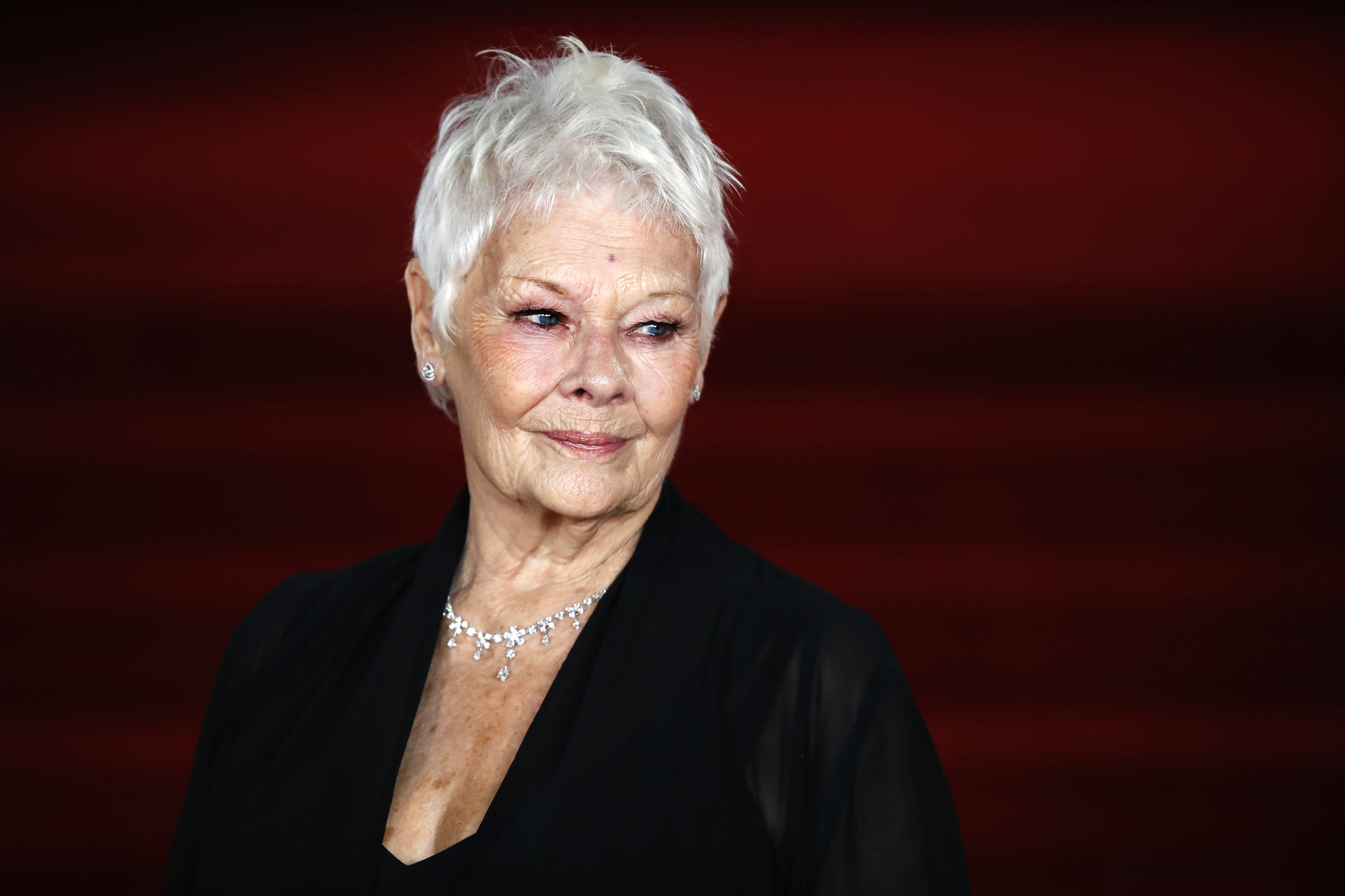 Judi Dench roept op om “het werk van Weinstein en Spacey niet te vergeten”