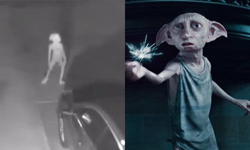 Facebook in de ban van dit ‘bizar wezen’ op camerabeelden (video)