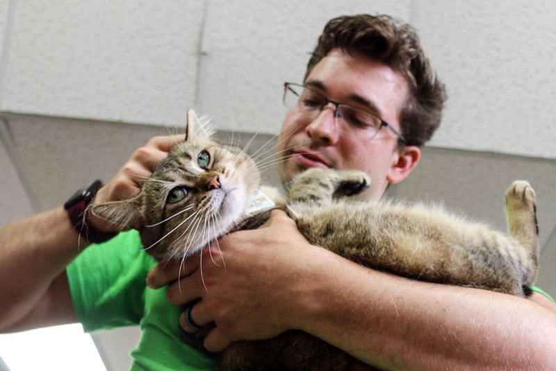 Wetenschappelijk bewezen: kopzorgen kan je “wegaaien”