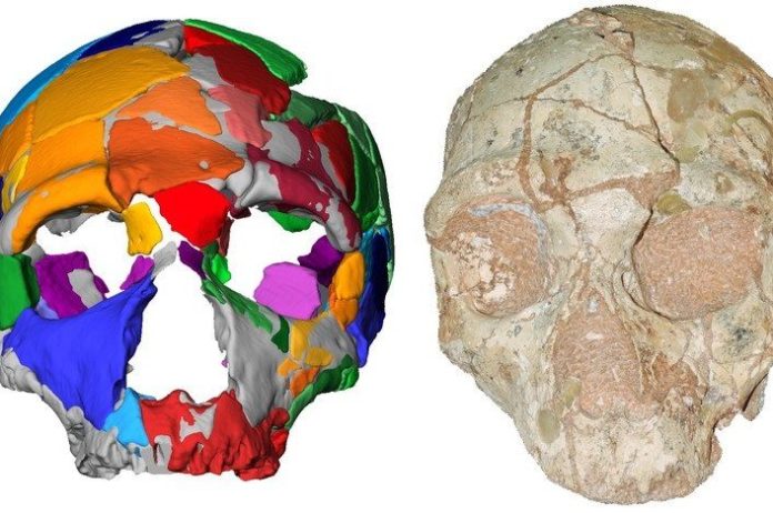 Oudste resten van moderne mens buiten Afrika ontdekt
