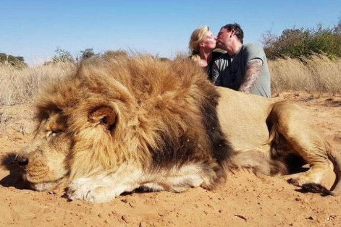 Kussend stel bij doodgeschoten leeuw zorgt voor polemiek