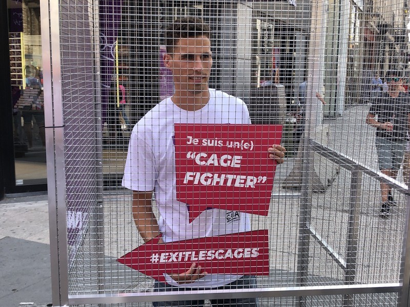 Gaia sluit Kevin Borlée op in kooi