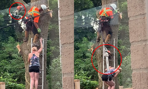 Boompje snoeien gaat STEVIG fout (video)