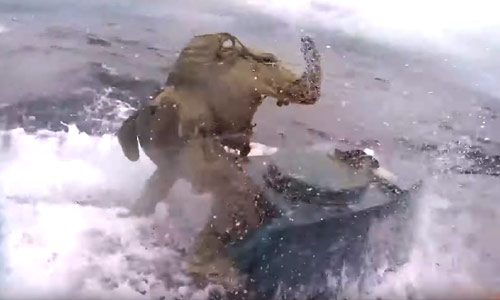 Kustwacht onderschept op spectaculaire wijze ‘duikboot’ van drugssmokkelaars (video)