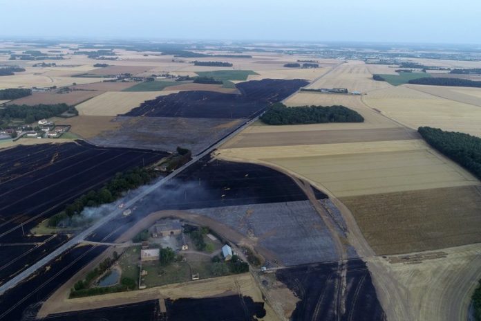 Klimaatpanel VN: “Moeten land en voedsel anders gebruiken”