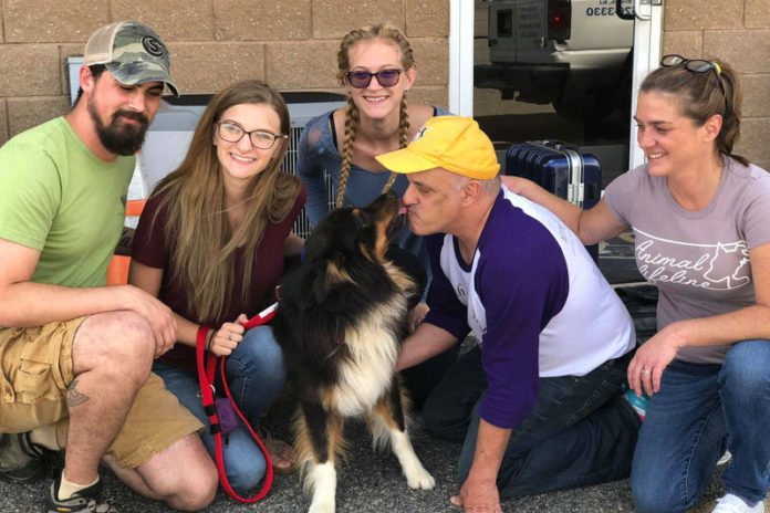 Hond na twee jaar herenigd met zijn baasjes