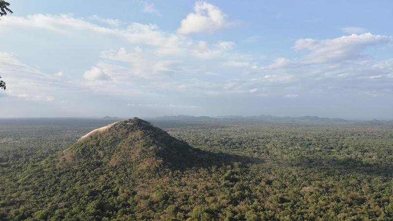 CHECK-IN. Hurry curry! Waarom je zo snel mogelijk naar Sri Lanka moet reizen