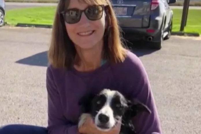 Vrouw neemt ontslag om haar verdwenen hond te zoeken