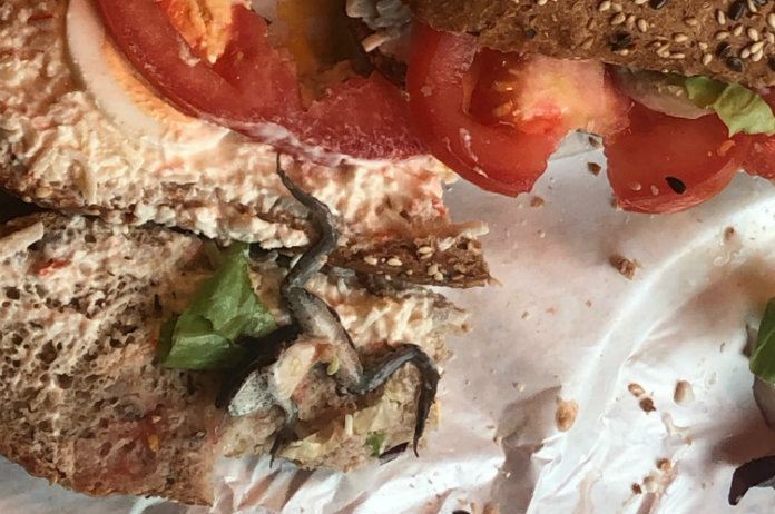 BIZAR. Vrouw vindt kikker in broodje