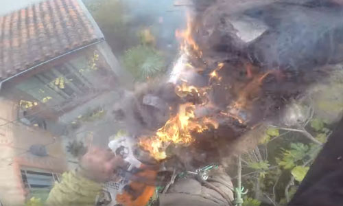 Boomsnoeier komt STEVIG in de problemen wanneer palmboom plots vuur vat (video)