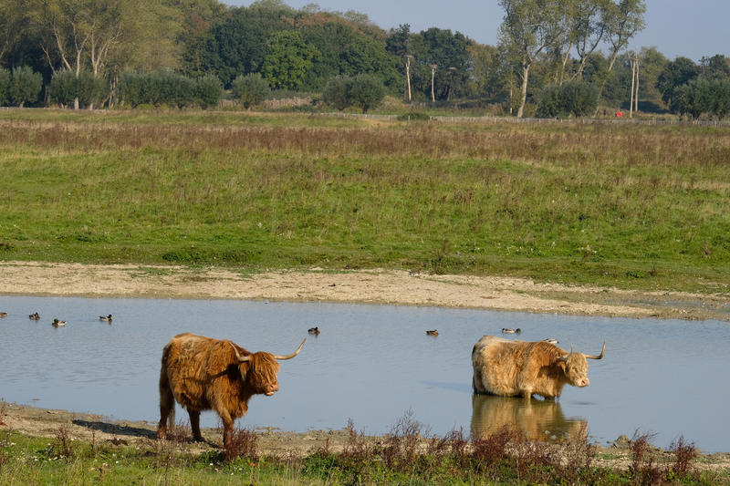 Vijf tips voor het laatste zonnige weekend