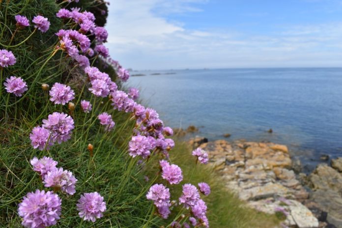 CHECK-IN. Op zoek naar de verloren tijd in Bretagne